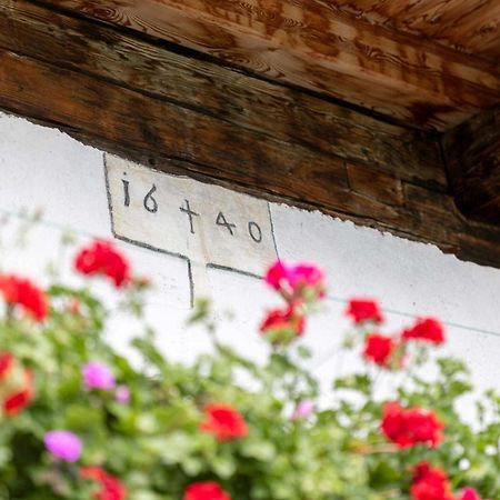 Haspingerhof Apartman Santa Maddalena in Casies Kültér fotó